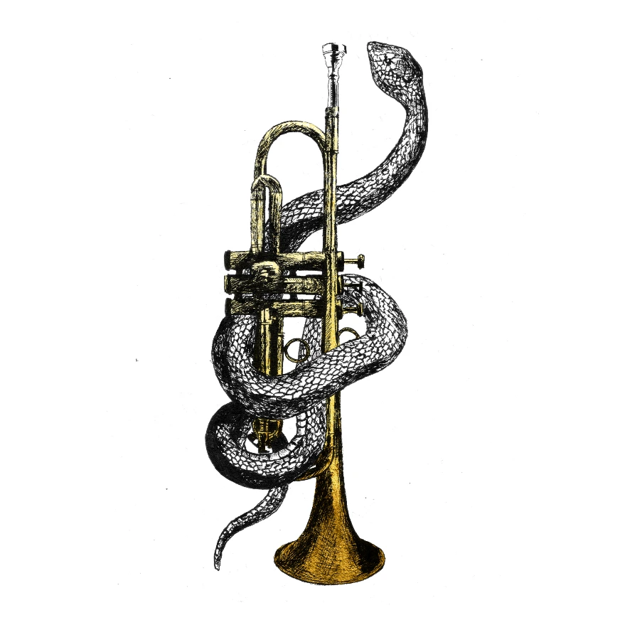 Brass Trumpet - Pack - bouteilles 33cl